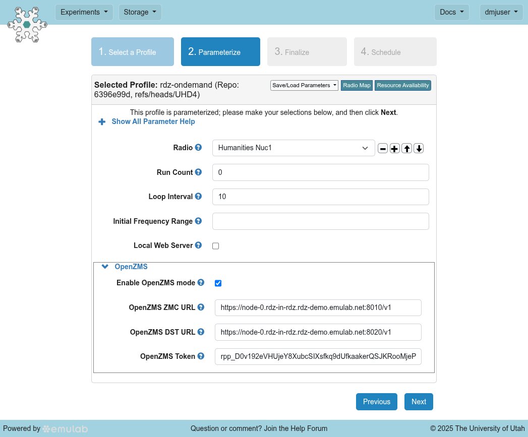 RDZ-in-RDZ Monitor Experiment Parameters